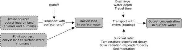 concentrations